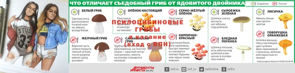 бутират Лагань