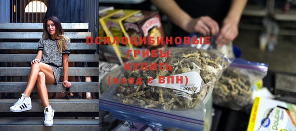 бутират Лагань